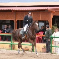 Campeonato Magdalena saltos hípica Poni Club Castellón