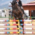 Campeonato Magdalena saltos hípica Poni Club Castellón