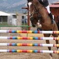 Campeonato Magdalena saltos hípica Poni Club Castellón