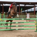 Campeonato Magdalena saltos hípica Poni Club Castellón