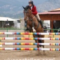 Campeonato Magdalena saltos hípica Poni Club Castellón