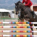 Campeonato Magdalena saltos hípica Poni Club Castellón