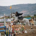 Campeonato Magdalena saltos hípica Poni Club Castellón