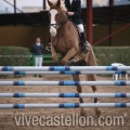 Campeonato Magdalena saltos hípica Poni Club Castellón