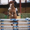 Campeonato Magdalena saltos hípica Poni Club Castellón