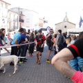 Marató i Mitja  2016