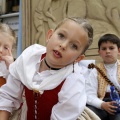 Fiestas de la Mare de Déu del Lledó