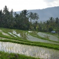 Bali, top 5 visitas