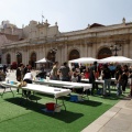 Castellón más sostenible