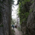 Tírig
