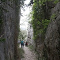 Tírig