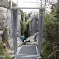 Tírig