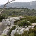 Tírig