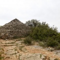 Tírig