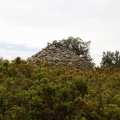 Tírig