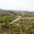 Tírig