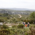 Tírig