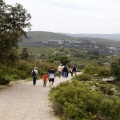 Tírig