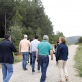 Tírig