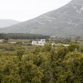 Tírig