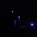 Concert Atrevit de Veus