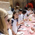 Castellón con la donación de órganos