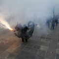 Trobada de Bèsties del Foc