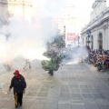 Trobada de Bèsties del Foc