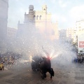 Trobada de Bèsties del Foc