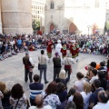 Trobada de Bèsties del Foc