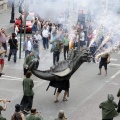 Trobada de Bèsties del Foc