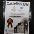 Exposiciones caninas