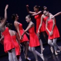 Coppelia estudio de danza