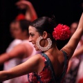 Coppelia estudio de danza