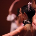 Coppelia estudio de danza