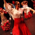 Coppelia estudio de danza