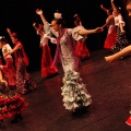 Coppelia estudio de danza