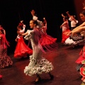 Coppelia estudio de danza