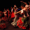 Coppelia estudio de danza