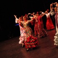 Coppelia estudio de danza