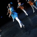 Coppelia estudio de danza