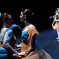 Coppelia estudio de danza