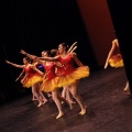 Coppelia estudio de danza