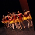 Coppelia estudio de danza