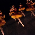 Coppelia estudio de danza