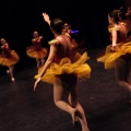 Coppelia estudio de danza