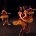 Coppelia estudio de danza