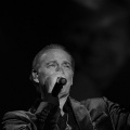 Bertín Osborne, Crooner