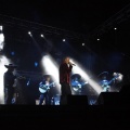 Bertín Osborne, Crooner