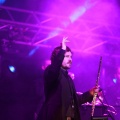 Bertín Osborne, Crooner